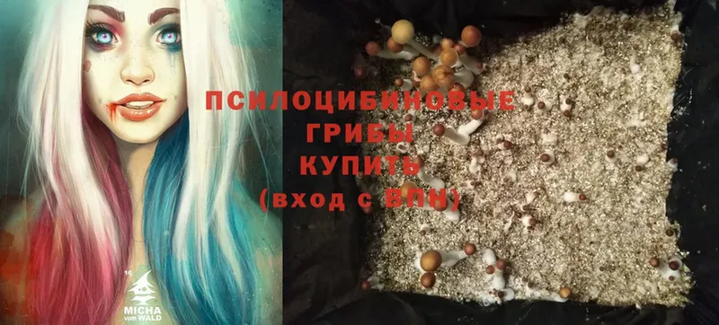 Псилоцибиновые грибы MAGIC MUSHROOMS  Горняк 